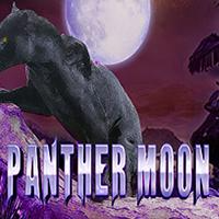 Panther Moon